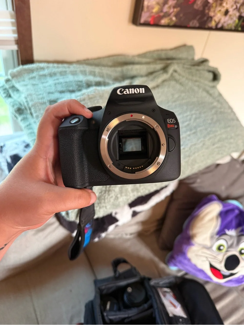 Canon DSLR Camera Kit with Black Body and Silver Lens Accents